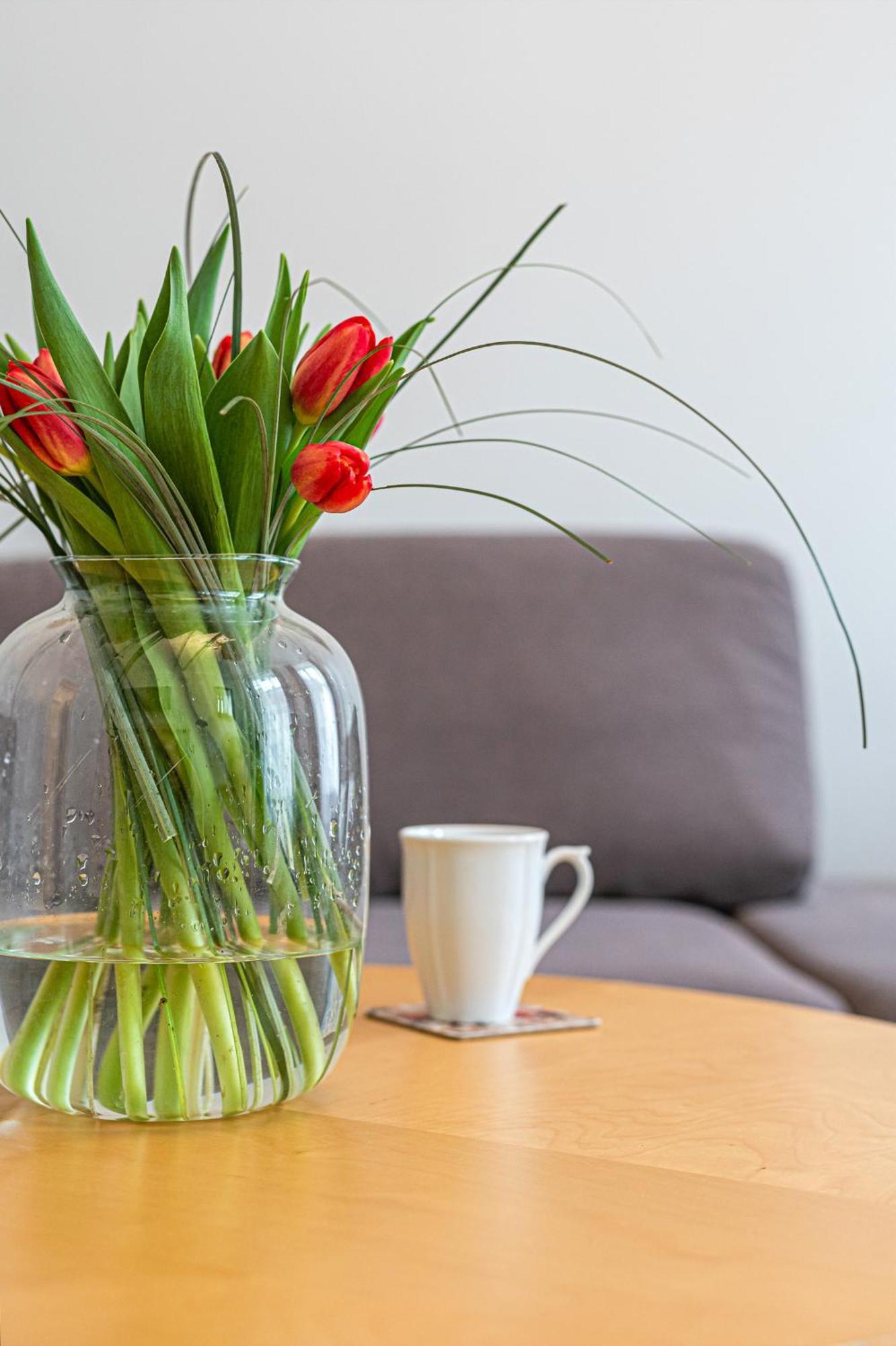 Neptun - Billberry Apartment *